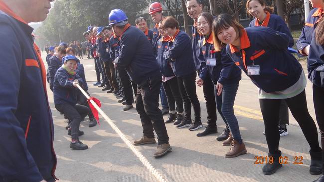 1551679694843335.jpg image015.jpg